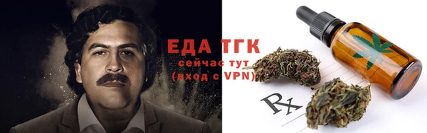 сатива Кущёвская