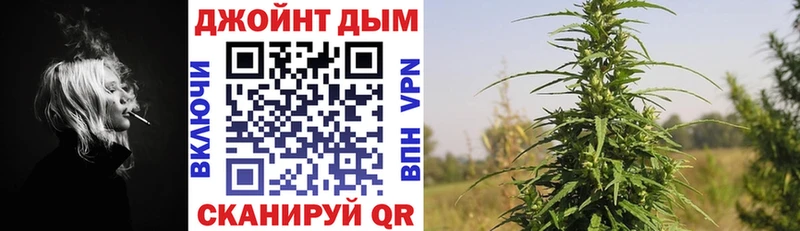 Бошки марихуана план  Купить  Подпорожье 